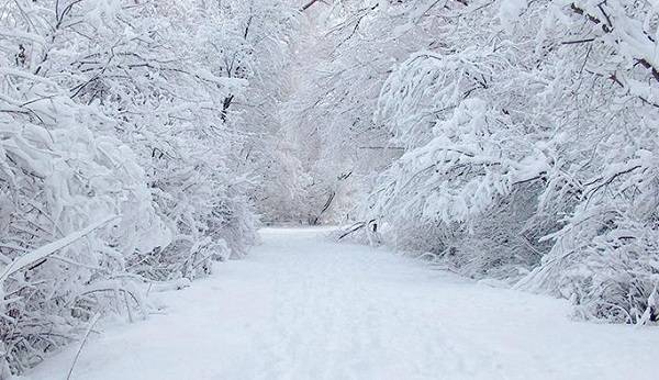 Artvin okullar tatil mi 23 Aralık | Borçka Şavşat okullar tatil edildi mi?
