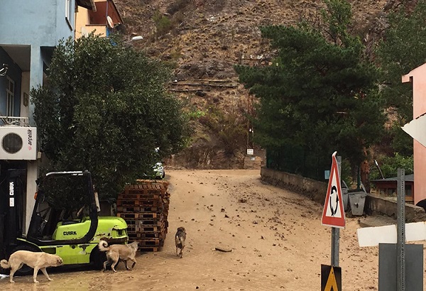 Artvin yağışlar kaç gün sürecek? Artvin 10 Ekim Pazartesi hava durumu: