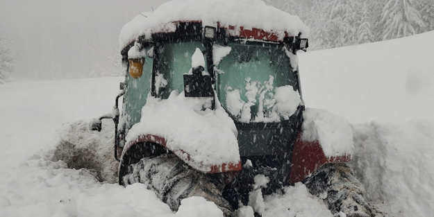Artvin'de ekiplerin karla mücadelesi sürüyor