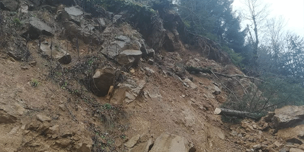 Artvin'de heyelan; köy yolu kapandı, elektrik kesildi