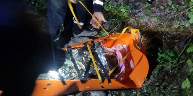 Artvin’de kamyonet uçuruma yuvarlandı: 3 yaralı