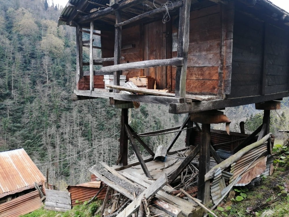Artvin’de kış uykusundan uyanan ayılar arı kovanlarını parçaladı 