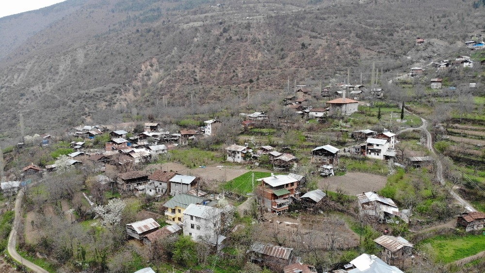 Artvin’de köy muhtarlığı kendi karantinasını oluşturdu 