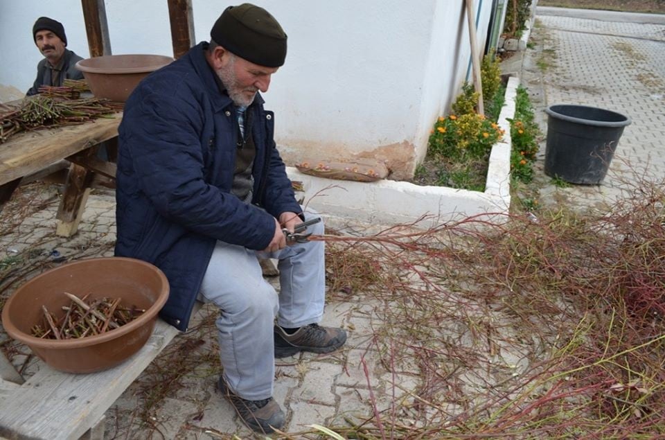 Artvin’de orman köylüsü için 27 bin gelir getirici fidan 