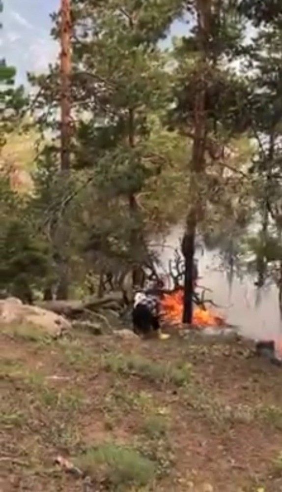 Artvin’de ormanlık alana düşen yıldırım sonrası yangın çıktı 