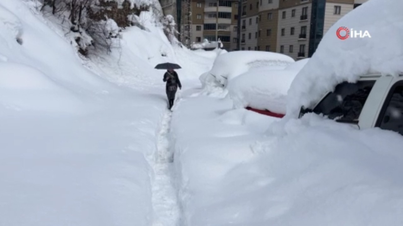 Artvin'de yoğun kar yağışı etkisini sürdürüyor