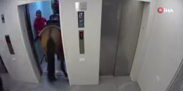 Asansöre at bindirmeye çalışan adamdan şaşkına çeviren savunma