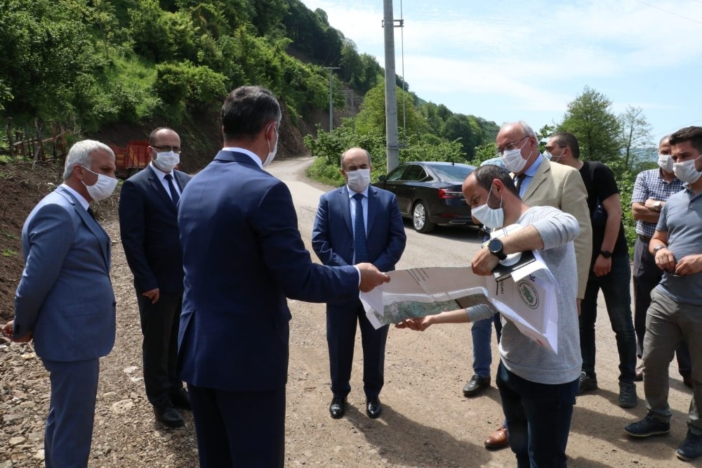 Asfalt çalışmasında çiçek detayı 