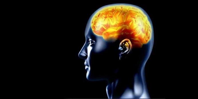 Asıl büyük tehlike beynin gıdasını unutmak..