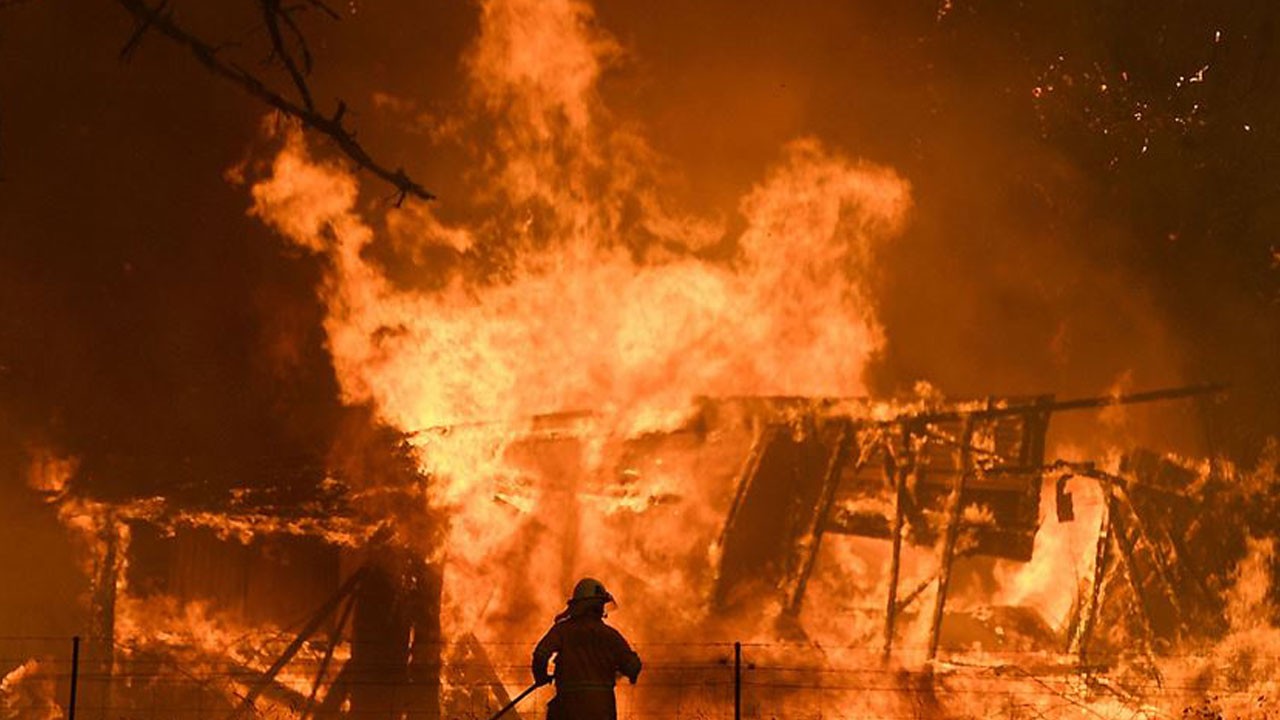 Aşırı sıcaklar sonrası orman yangını alarmı! O ülke diken üstünde