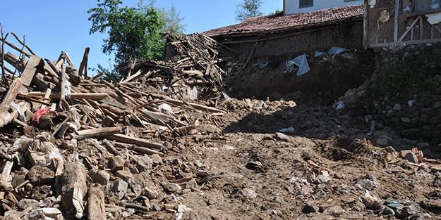 Aşırı yağışta hayvanlar telef oldu