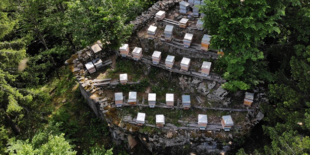 Asırlardır kayalar üzerinde üretiyorlar