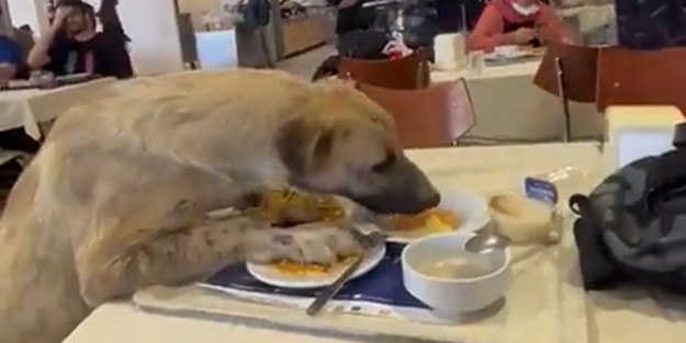 Aşısız öğrencileri yurda bile sokmayan rektör bu işe ne der? Üniversite yemekhanesinde skandal görüntüler!