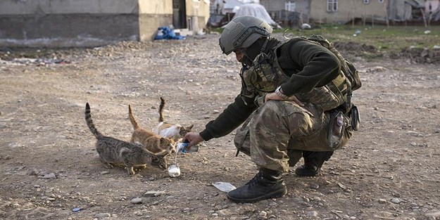 Askerden sokak hayvanlarına kumanya