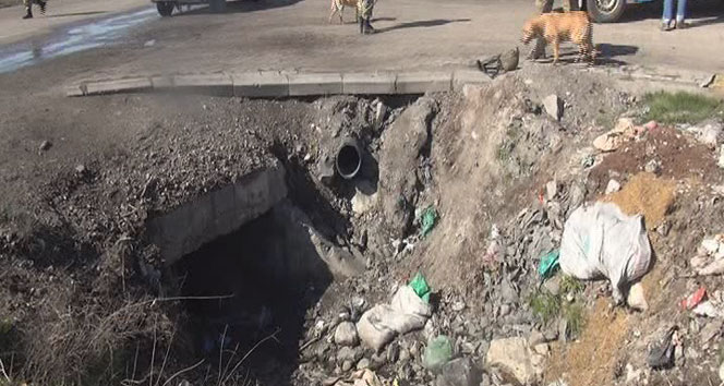 Askerin dikkati faciayı önledi