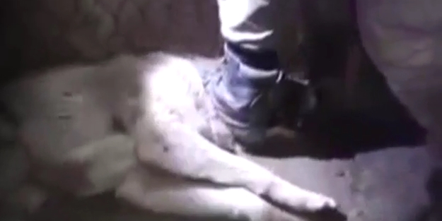 Haklarında yasal işlem başlatıldı (+18)