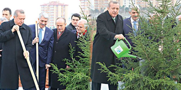 ASKON’dan 400 bin fidan