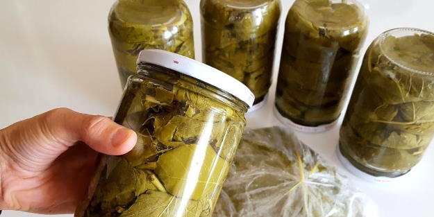 Asla bozulmayan salamura yaprak yapımı