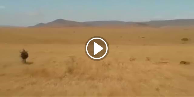 Aslan bunu beklemiyordu!