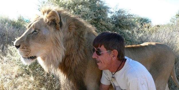 Aslan ve insanın mükemmel dostluğu