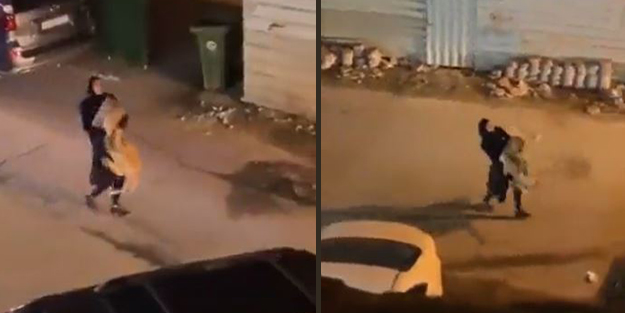 Aslanı kucağında taşıyan kadının görüntüleri viral oldu!