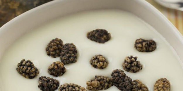 İşte bu ürünler önemli! Yoğurt ve kuru dutu karıştırın: İki ürünü satın almak için sırada bekliyorlar