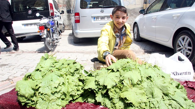 Asma yaprağı kilosu 7 liradan satılıyor