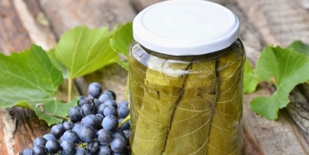 Asma yaprağında tehlike!