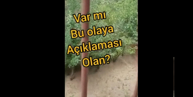 Asmadaki detayı fark eden adam öyle şaşırdı ki! Sosyal medya yıkıldı