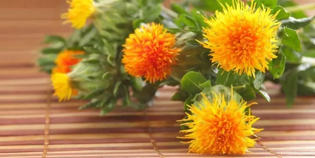 Aspir yağı romatizma ağrılarını geçiriyor