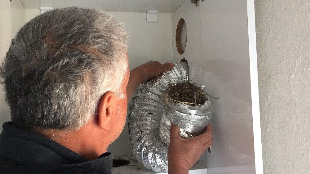 Aspiratör bacasındaki 8 yavru kuş telef olmaktan son anda kurtarıldı 