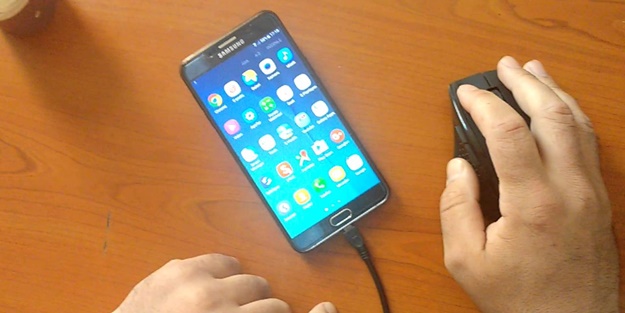 Astım artık cep ve farede