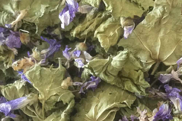 Astım, romatizma, akciğer... Kültür ve Turizm Bakanlığı, şifalı bitkileri açıkladı!