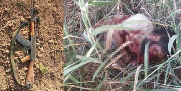 Astsubayı şehit eden terörist Mısırlı çıktı