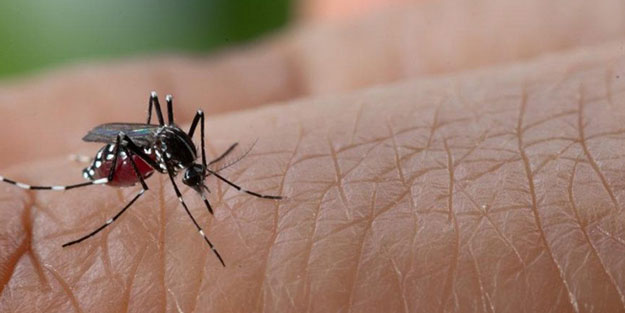 Asya ülkesinde gizlice ilerleyen salgın! 4 ayda onlarca kişi hayatını kaybetti