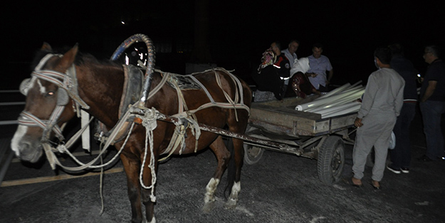 At arabalı hırsızlar suçüstü yakalandı