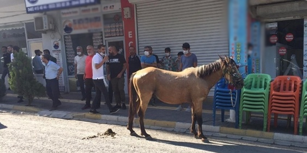 At arabasından düşen kişi hayatını kaybetti