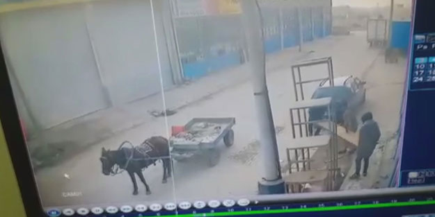 At arabasıyla TIR'ı soydular!