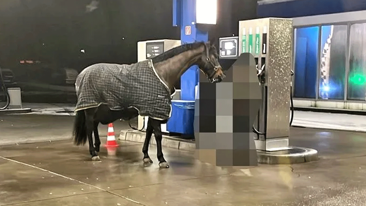 At çalan kadın polise böyle konuştu! Gerekçesi herkesi şaşırttı