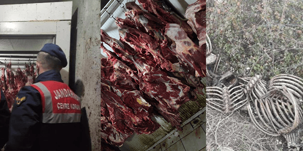 At kesmekten vazgeçmeyen baba oğul yine yakalandı!