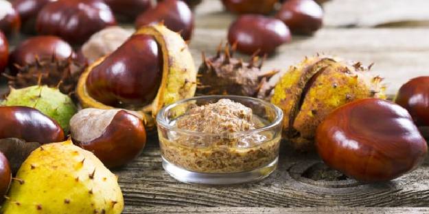 At kestanesi yenir mi, ne işe yarar? At kestanesi faydaları