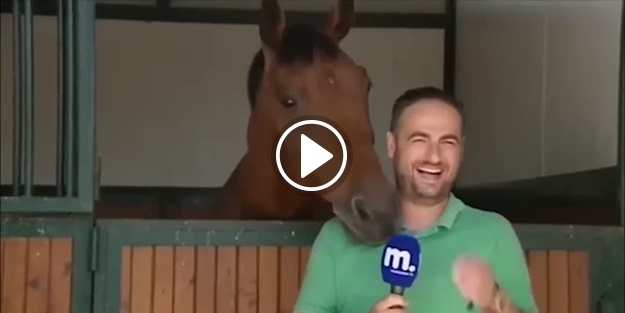 At, muhabire zor anlar yaşattı!