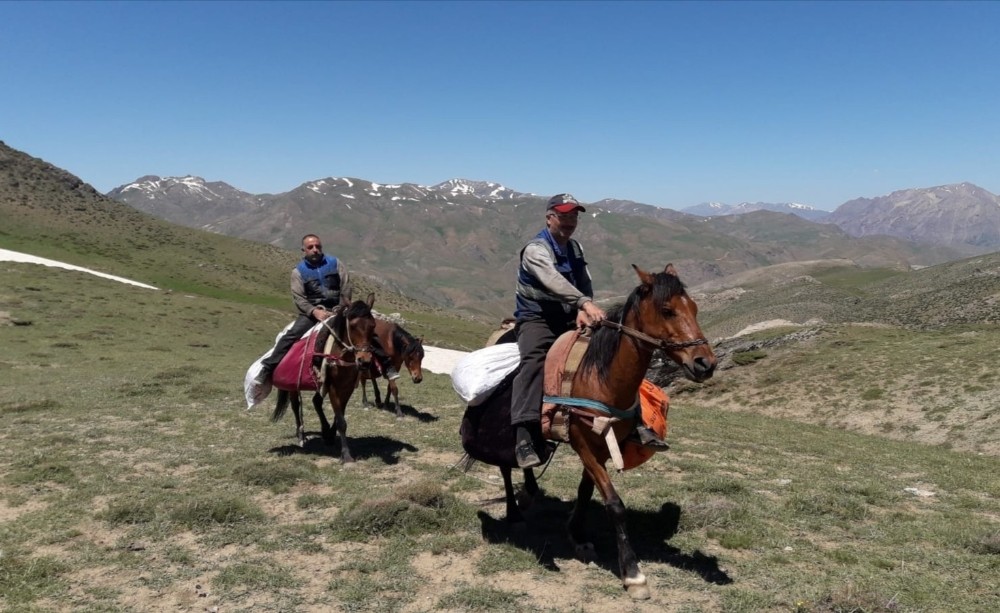 At sırtında arızaya koştular 
