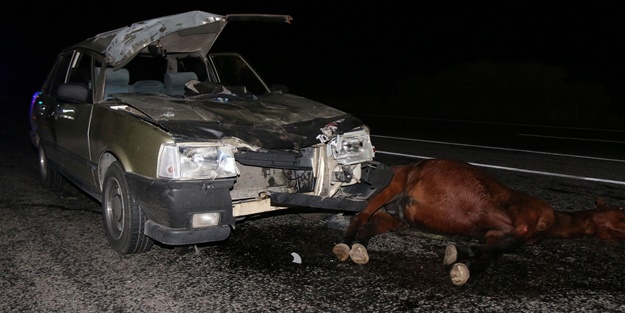 Ata çarpan otomobildeki 5 kişi yaralandı