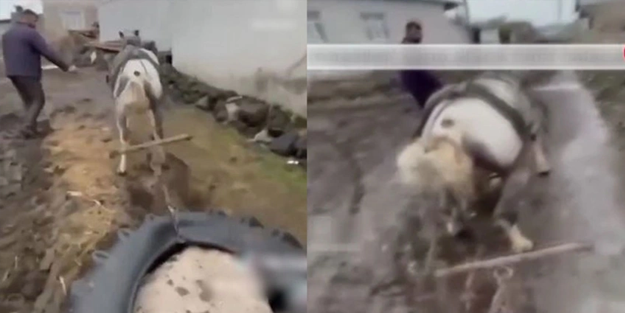 Ata eziyet eden vicdansızlara şaka gibi ceza!