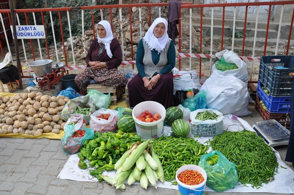 Ata tohumlarıyla yetiştirilen organik ürünlere ilgi 