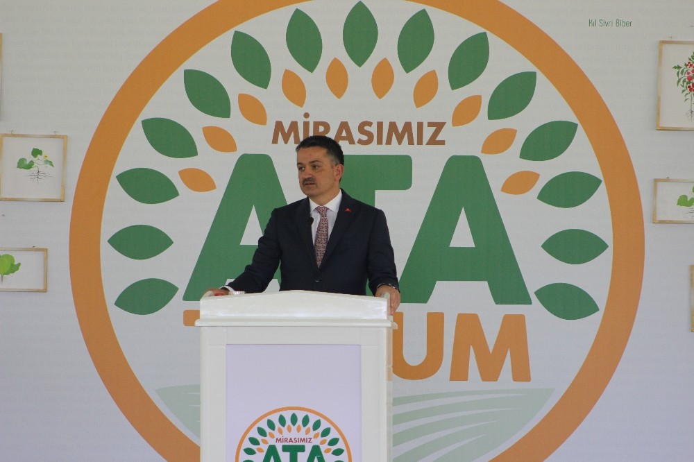 Ata Tohumu ürünler marketlerde tüketiciyle buluşacak 