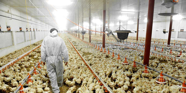 Atak, Atabey ve Ataak-S... Yerli olarak geliştirildi! Dışa bağımlılık bitti