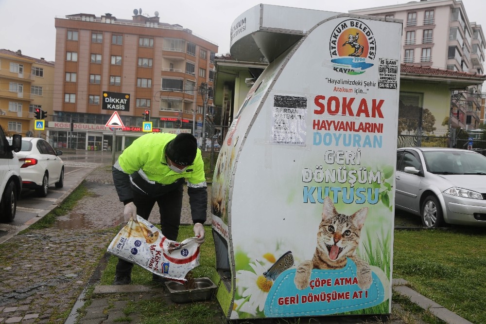 Atakum’da can dostlar aç kalmayacak 
