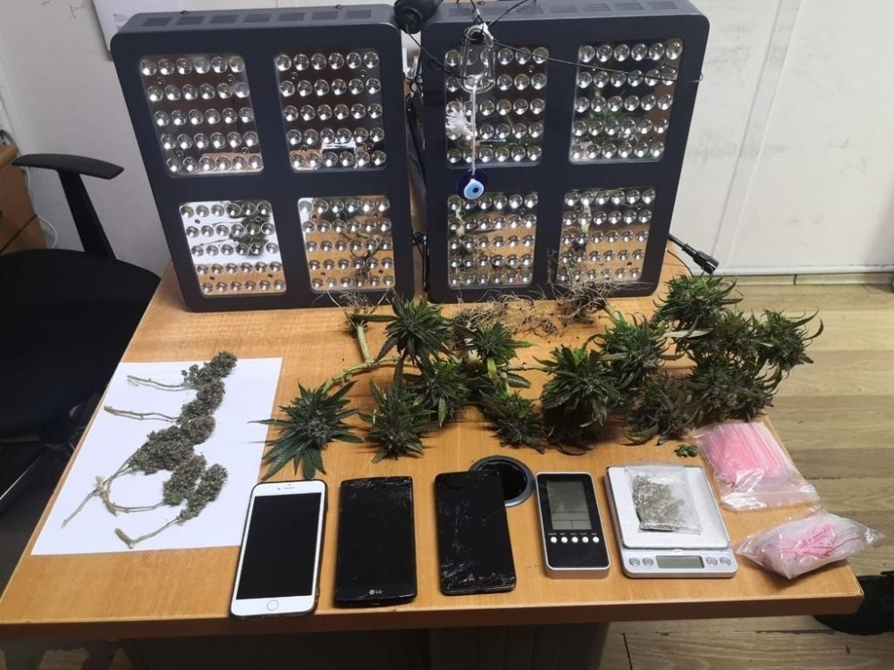 Ataşehir’de kadın çığlığı ihbarına giden polis, uyuşturucu tarlasına çevrilen evle karşılaştı 